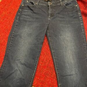 Takbots flawless five pocket Blue Women's Jeans